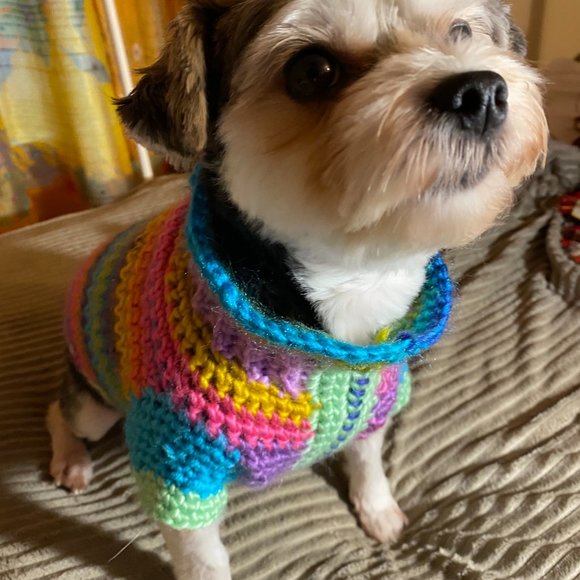 Small Dog Sweater, Toy Dog Clothes, Unique, Hand Knit One of a Kind, Colorful - Picture 10 of 16